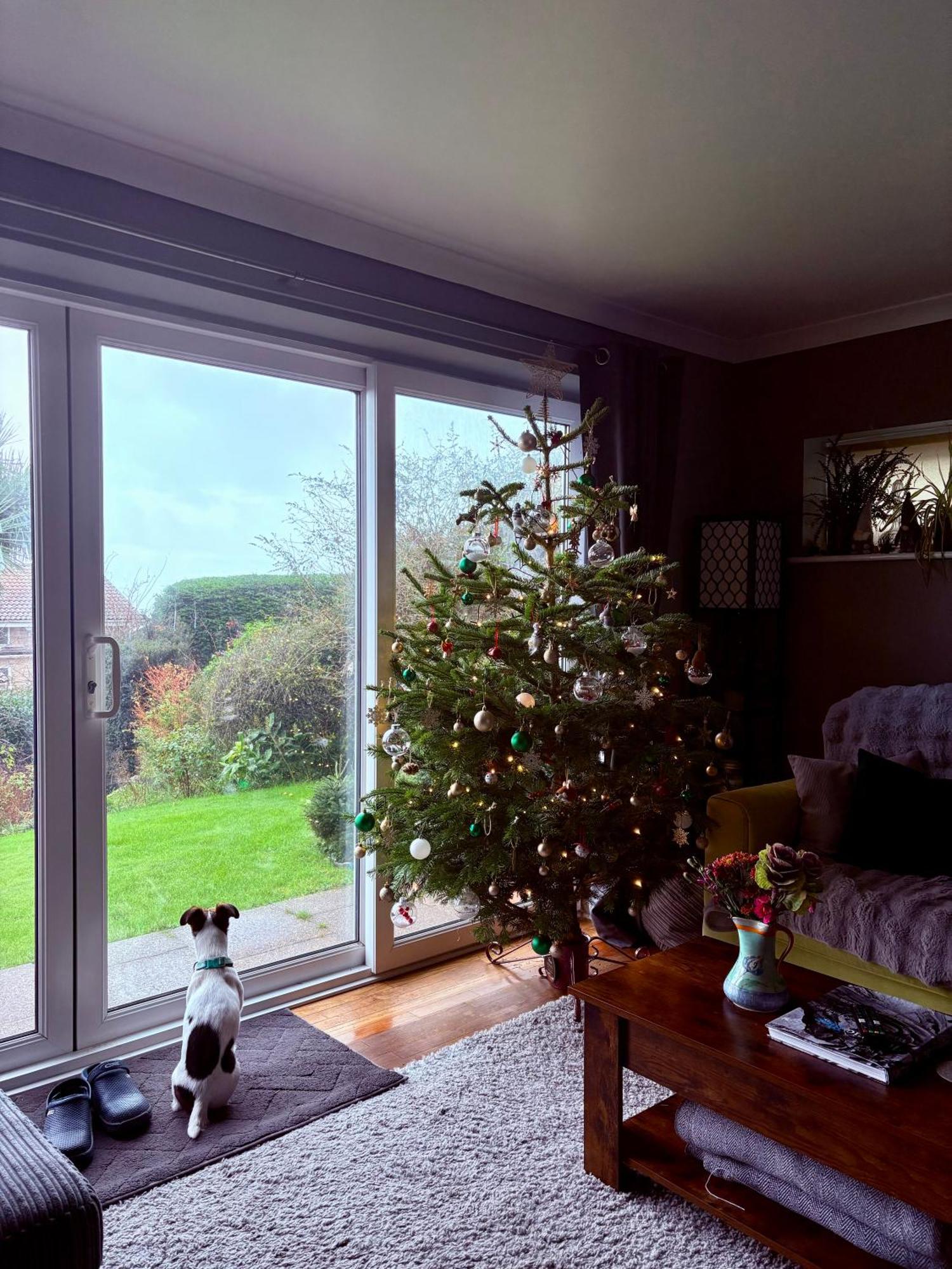 Stunning Charmouth Property With Bay Views! Exterior photo